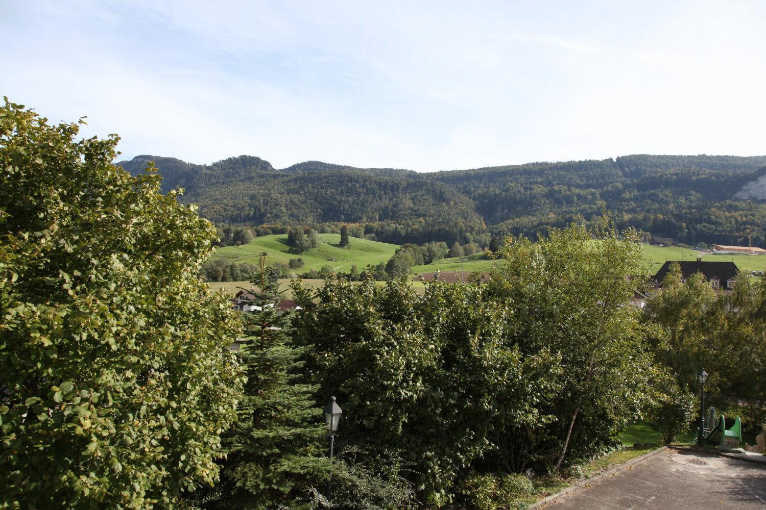 Hotel Gasthof Kreuz Welschenrohr Eksteriør bilde